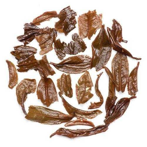 The Unique Charm of Darjeeling Autumn Flush Tea - Mayukh