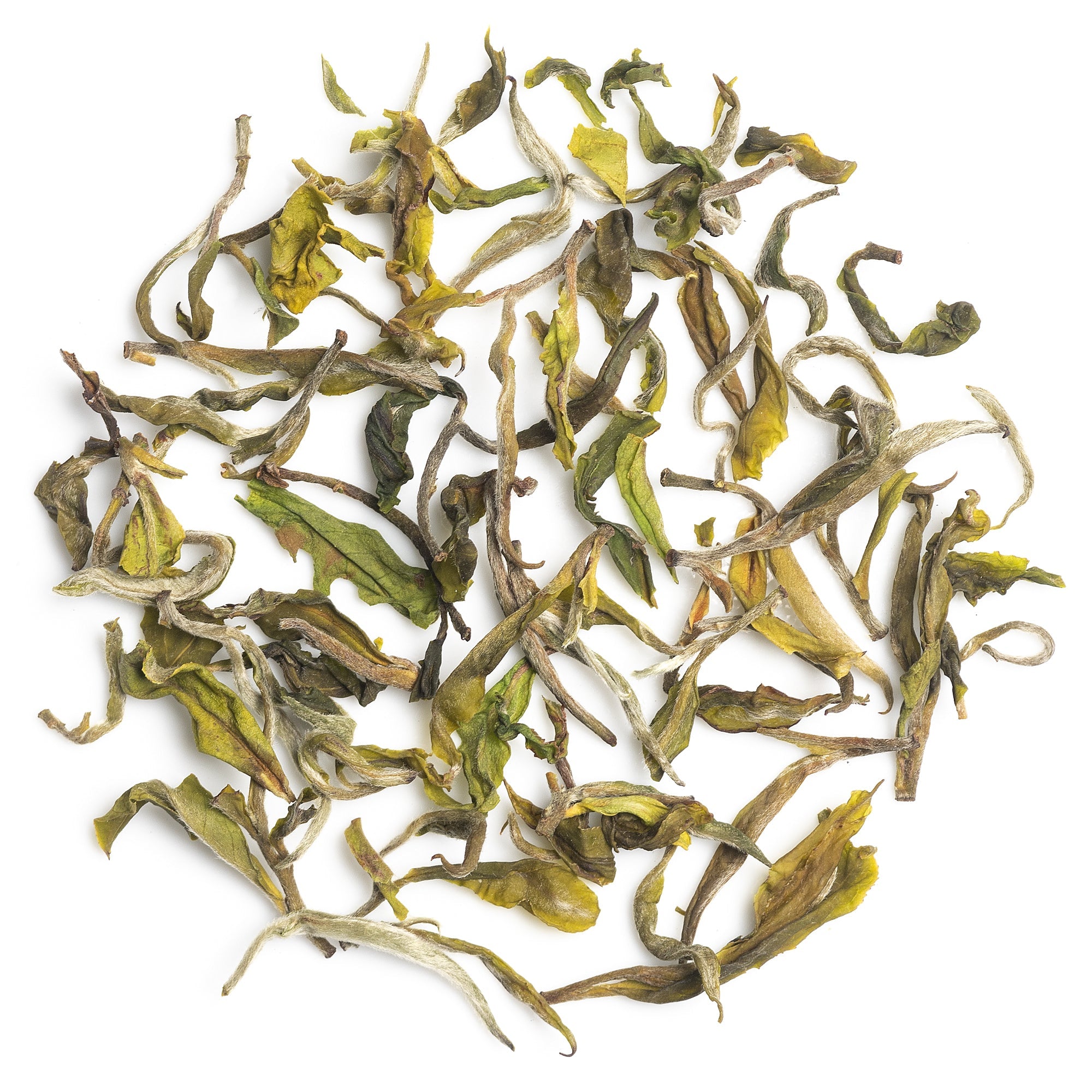 Whole Leaf Tea - Mayukh