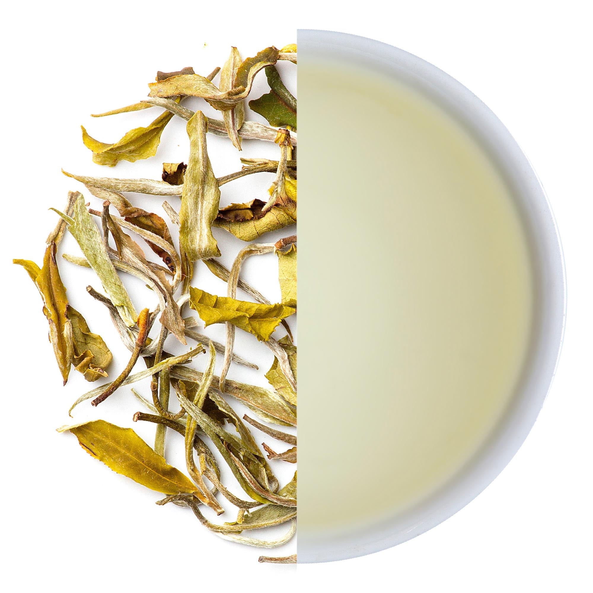 White Tea - Mayukh
