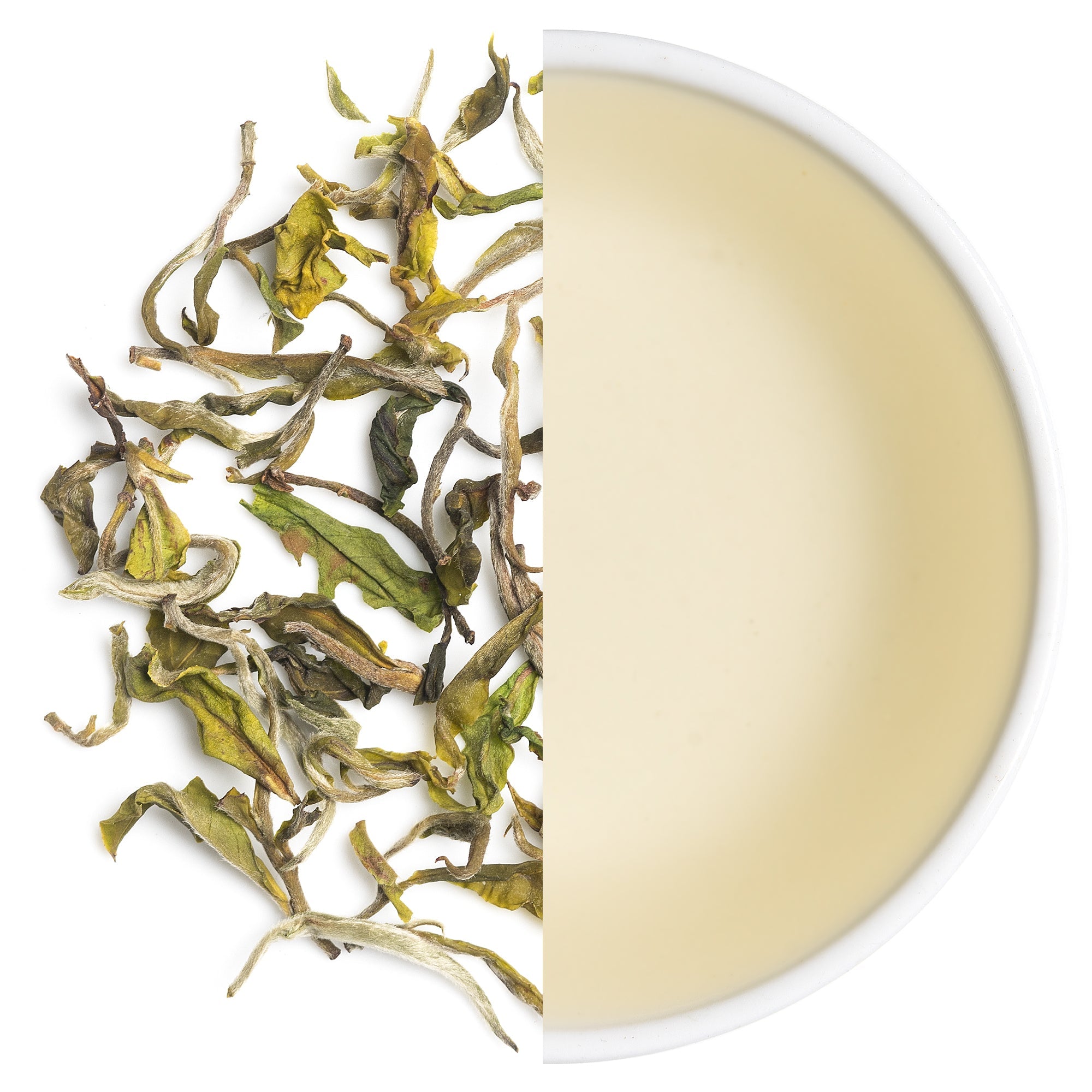 Darjeeling Tea Estate - Mayukh