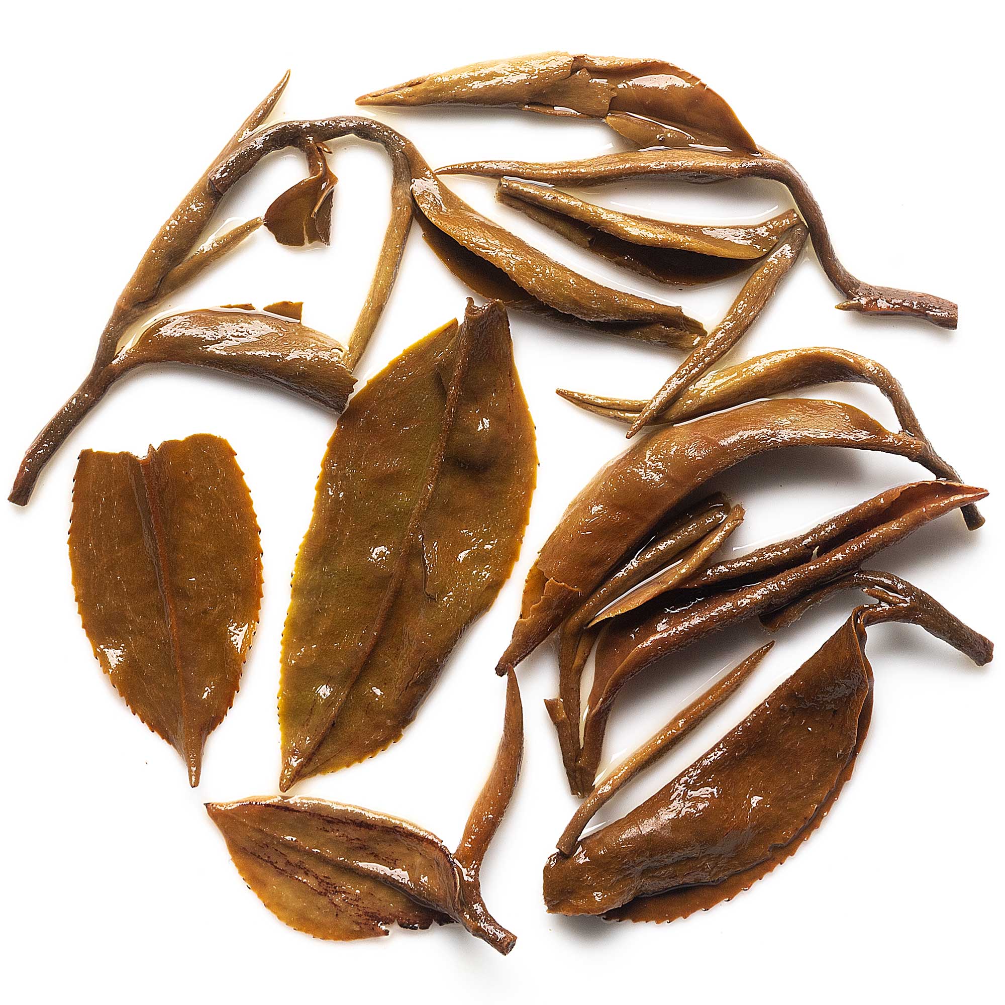 Arya Second Flush Darjeeling Black Tea 2026