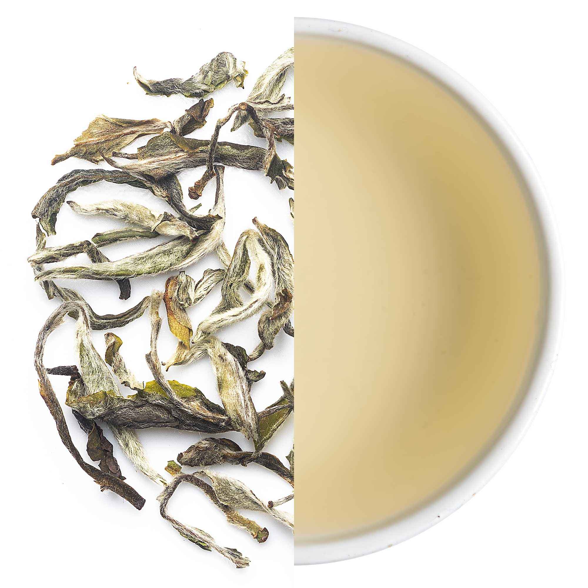 Badamtam First Flush Darjeeling Tea 2026 - 50 gm (Limited Edition)