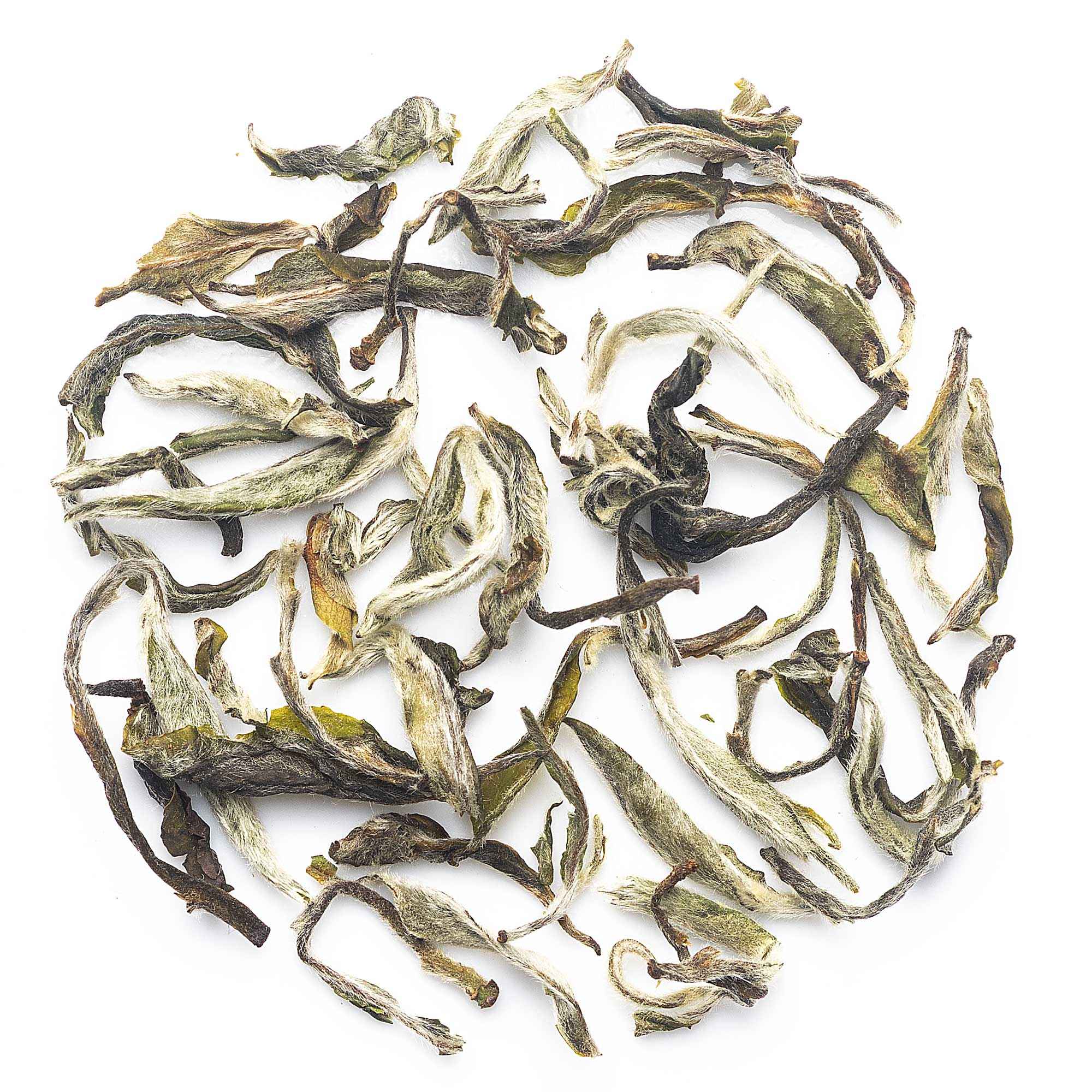 Badamtam First Flush Darjeeling Tea 2026 - 50 gm (Limited Edition)