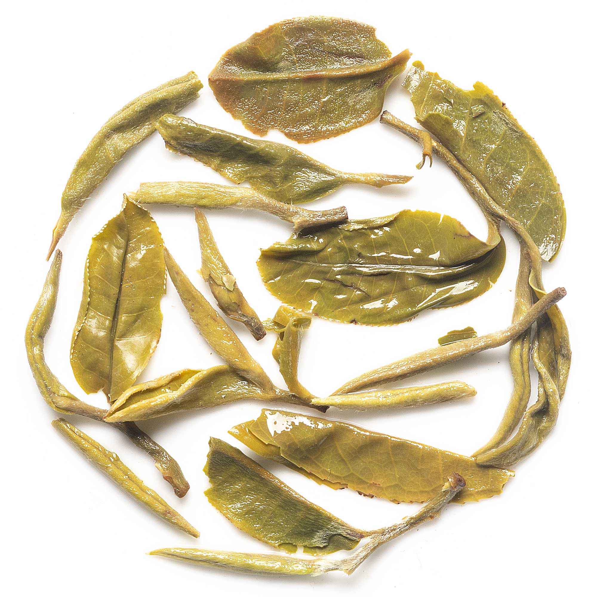 Badamtam First Flush Darjeeling Tea 2026 - 50 gm (Limited Edition)