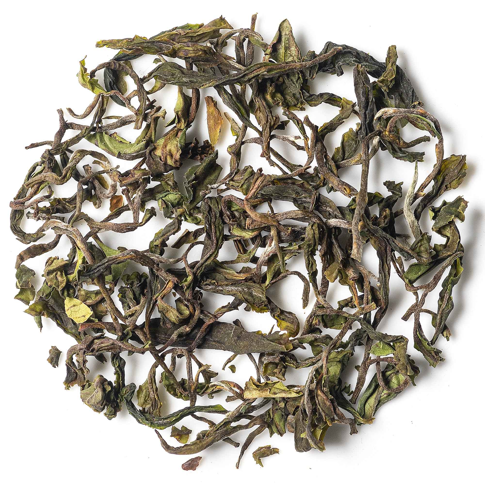 Giddapahar First Flush Darjeeling Black Tea EXN-2 /2026