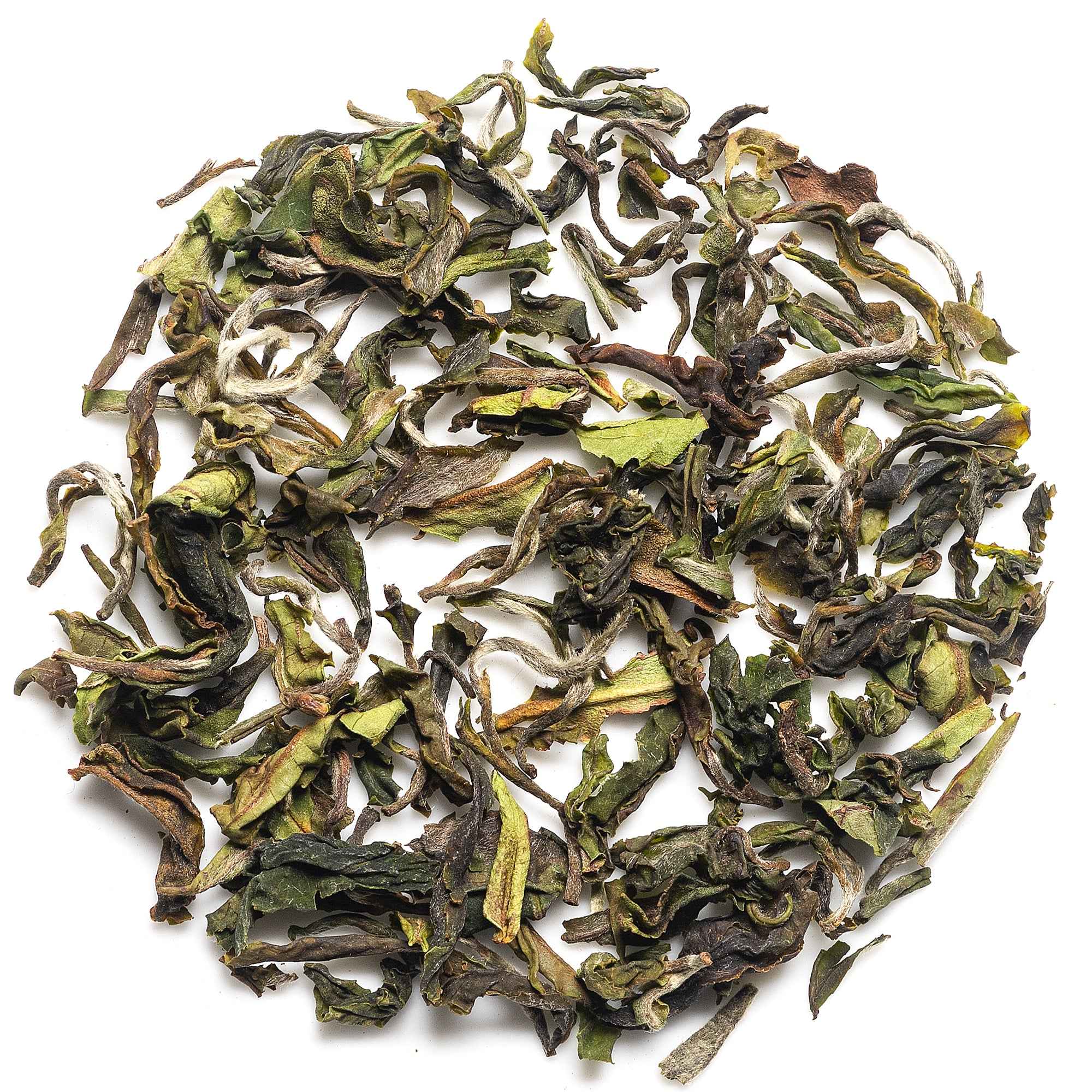 Ringtong First Flush Darjeeling Tea 2026 | Mayukh Tea