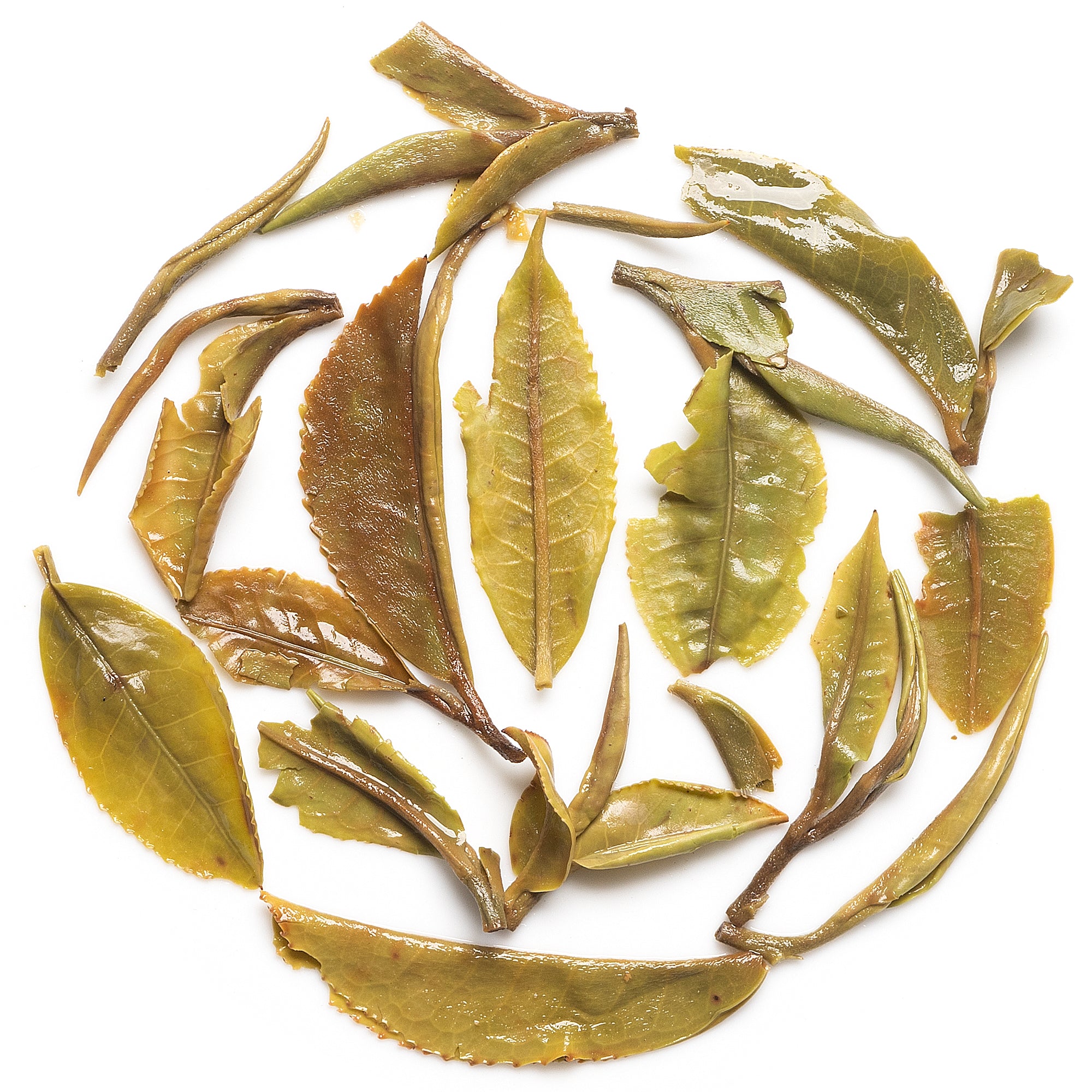 Ringtong First Flush Darjeeling Tea EX-1 /2026