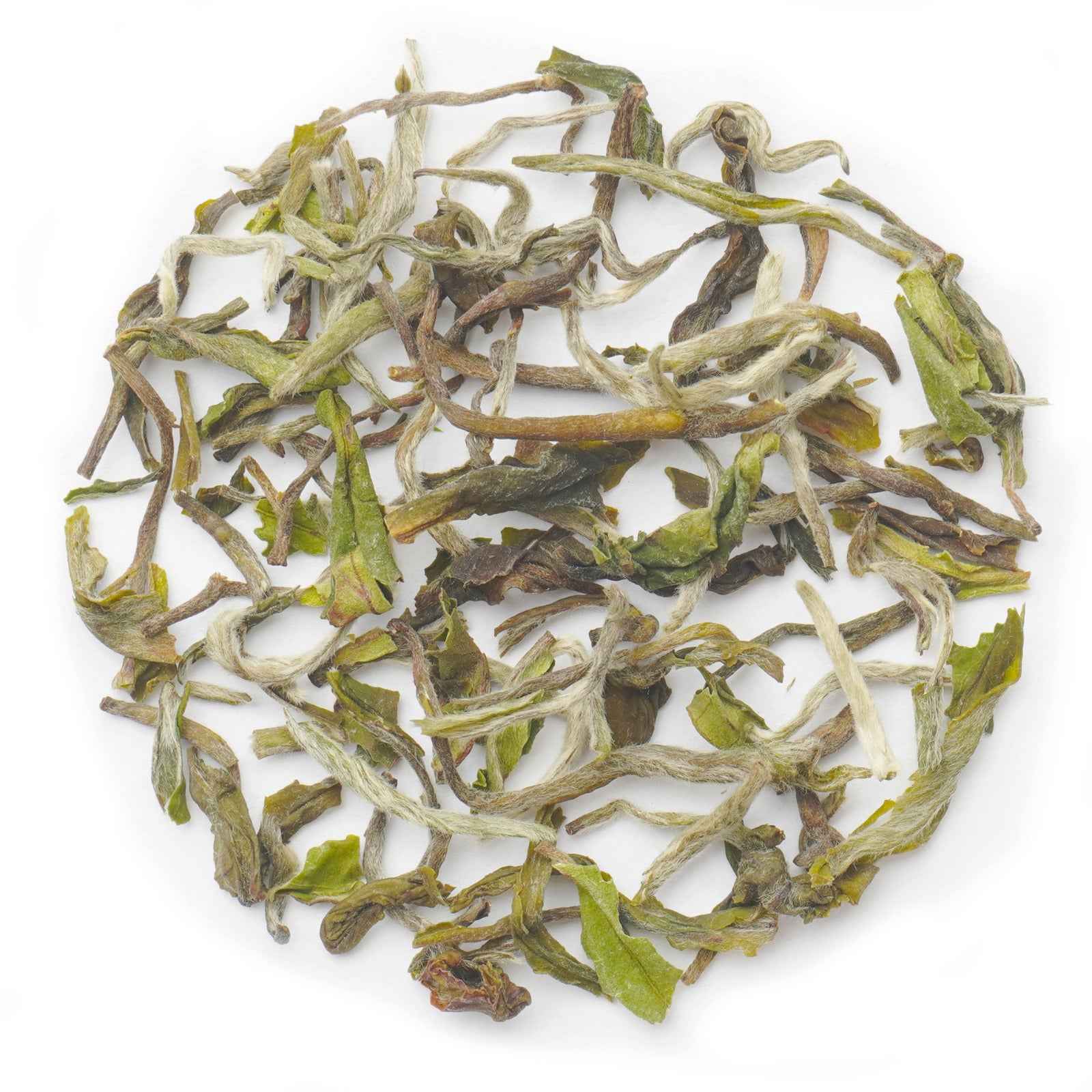 Premium Samabeong Estate First Flush Darjeeling Tea with delicate ...